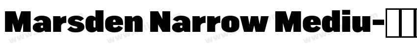 Marsden Narrow Mediu字体转换 Marsden Narrow Mediu字体转换